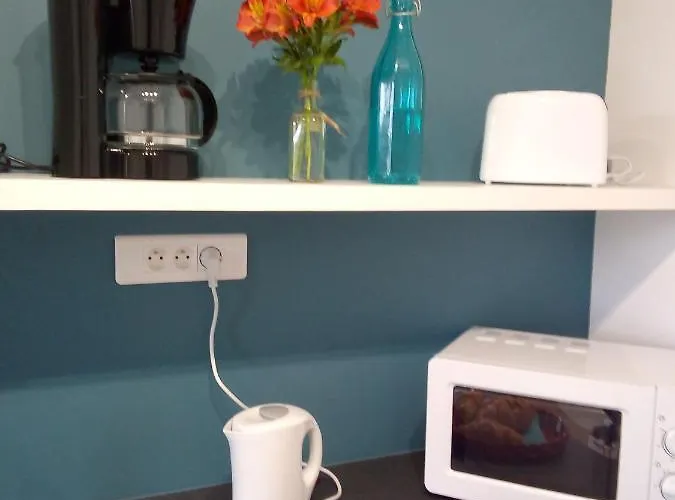 Au Refuge Des Farfas Appartamento Saint-Paul-en-Pareds